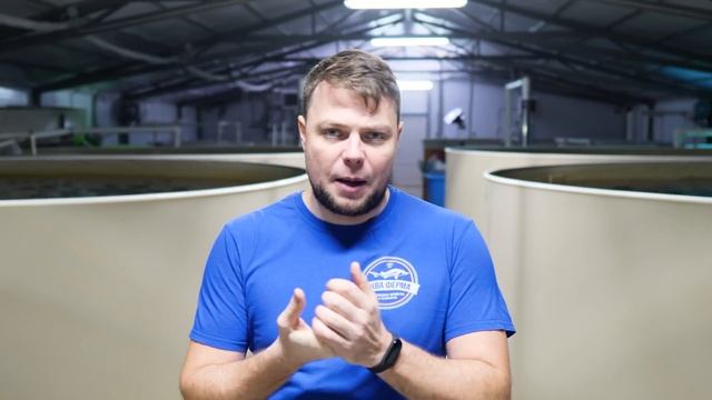 Обзор Новой Аквафермы. Часть Третья. Биофильтрация смотреть онлайн