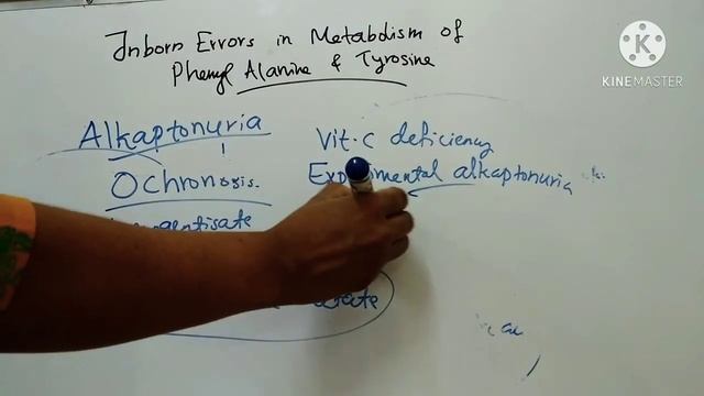 Inborn Errors in Metabolism of Phenyl Alanine and Tyrosine/ Phenyl ketonuria/ Alkaptonuria/ Albinis смотреть онлайн