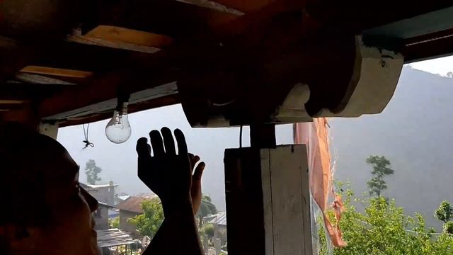 Chari Laija Samachar चरी लैजा समचार смотреть онлайн