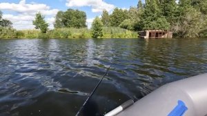 Ловля на ТЕЙЛ-СПИННЕР! Рыбалка на СПИННИНГ с лодки! Ловля окуня и щуки летом!