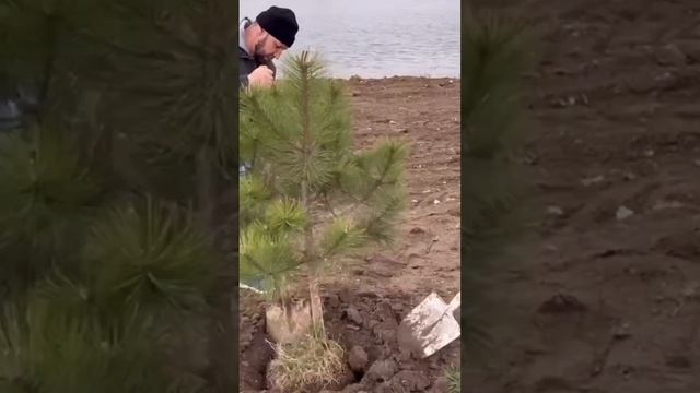 Рыбалка #shots #черноеморе #дом_у_озера #design #строим_крым #житьуморя #домвкрыму #купить_дом смотреть онлайн