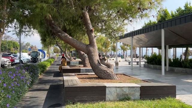 Как дойти до Аквариума от отеля Бенна в Анталье. Идём и рассказываем смотреть онлайн