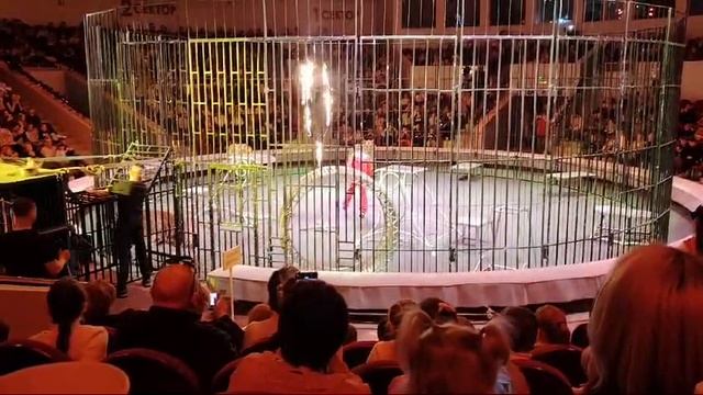 VID-20241223-WA0007 смотреть онлайн