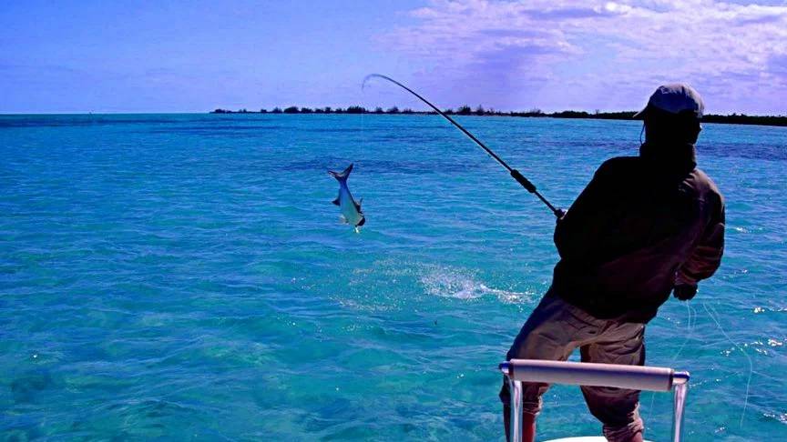 Выиграл Тур Норвежское море РР4 смотреть онлайн