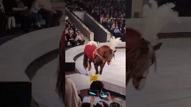 VID-20241223-WA0004 смотреть онлайн