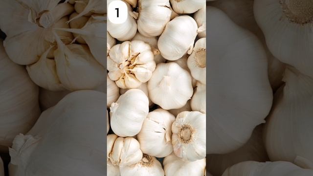 VOCABULARY | more VEGETABLES смотреть онлайн
