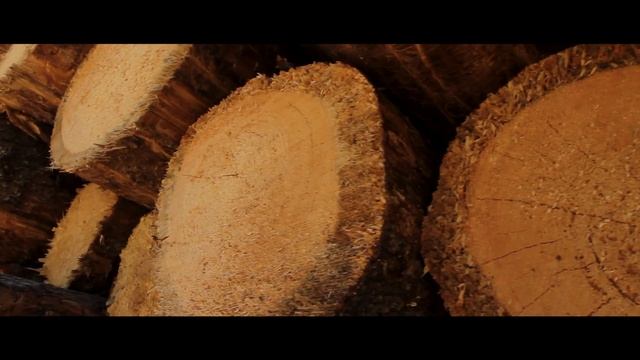 Build Green, Designing a Sustainable Future with Wood смотреть онлайн