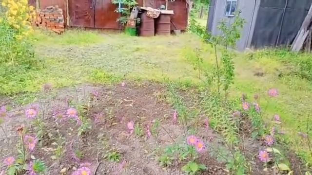 (#442) 26-29.08.22 Приморская Деревня! Краски уходящего лета! смотреть онлайн