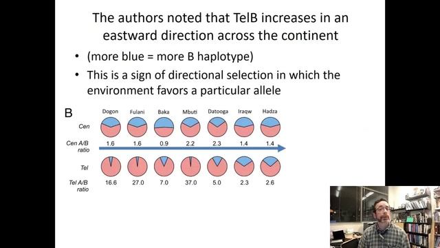 Immunogenetics of HLA KIR 2 смотреть онлайн