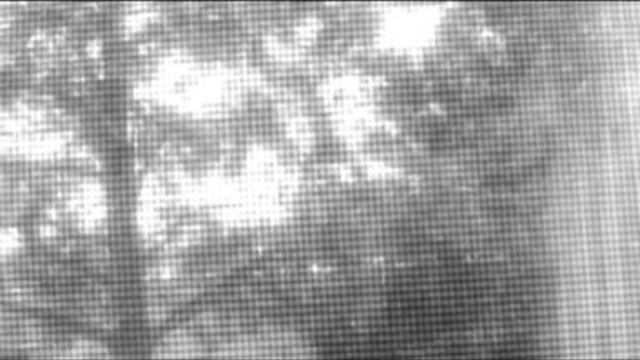 PS 33 By Bishop Archduke R Maxwell смотреть онлайн