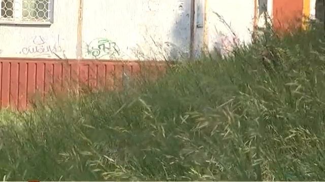 Народный корреспондент 08.07.2020 смотреть онлайн