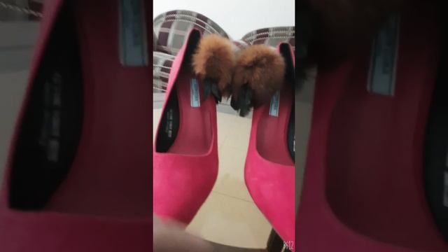 New shoe смотреть онлайн