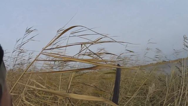 Охота на гуся пятёркой?? смотреть онлайн