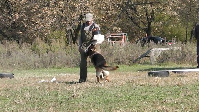 Schaco de Intercanina. Фактор (Большой Камень, 05.10.14) смотреть онлайн