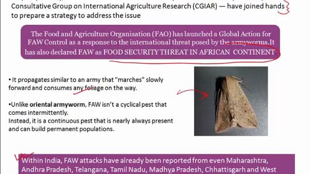 Current Affairs 2020 - Fall Armyworm and Kerala's ban on CFL:Amit Rishi смотреть онлайн