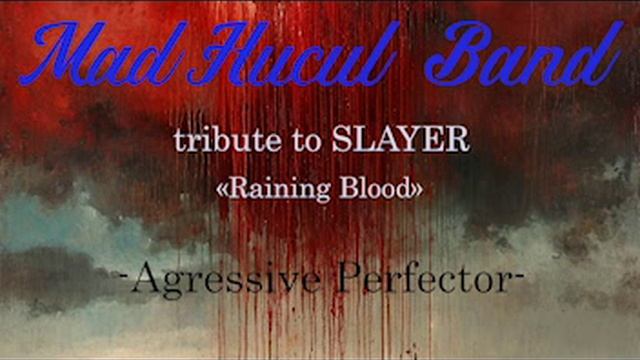 MadHucul Band - Aggressive Perfector