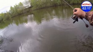 Крупные караси на мормоспиннинг. Black Adder Nano 0.3-0.8 г. Gammarus 0.1 - 0.6 г.