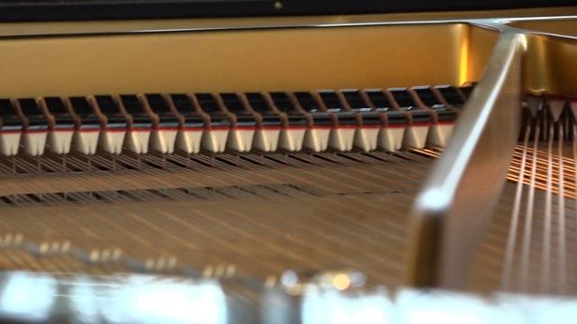 Gaby Kapps Nocturne Nr. 4 for Solo Piano 'A Misty Afternoon' in E minor смотреть онлайн