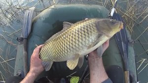 КАРП КРАСАВЕЦ!