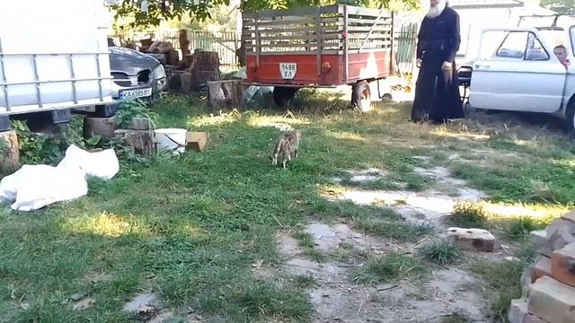 Наша нявка с нами смотреть онлайн