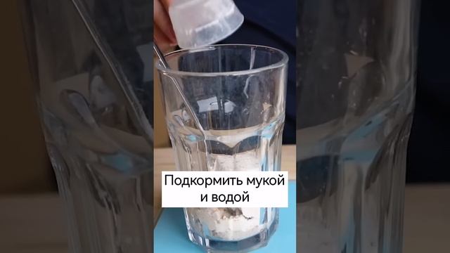 Как сделать закваску? смотреть онлайн