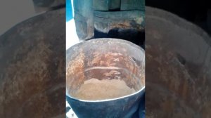 Откорм бычков. из чего я делаю дробленку.видео/3