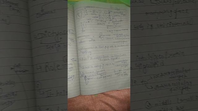 Golgi Body (neet) in short ✌ смотреть онлайн