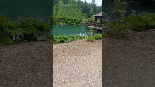 Мезмай-Фишт-Форель смотреть онлайн