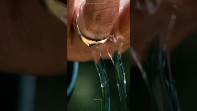 ¿Por qué el agua es líquida? 💧 #ciencia #science #agua #water #h2o смотреть онлайн