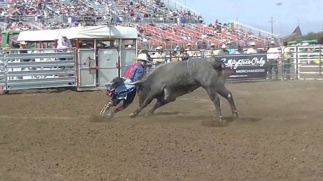 Nathan Harp Professional Bullfighter 2017 смотреть онлайн