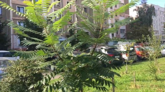 Моя осень 2.09.2019 смотреть онлайн