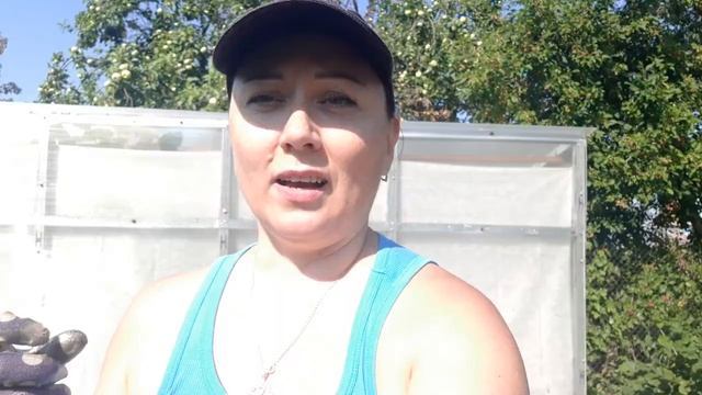 Одна без мужа, сломался секатор, отказал триммер! смотреть онлайн