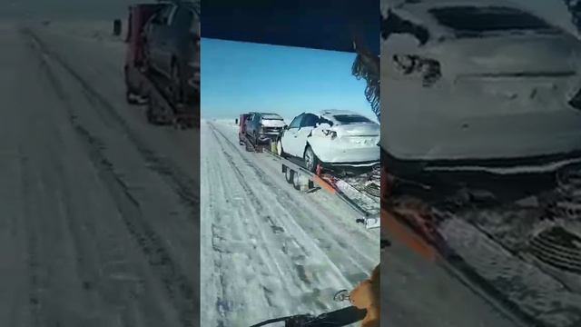 Тесла и Фольксваген Тигуан прибыли с китая смотреть онлайн