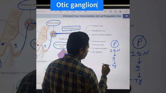Otic Ganglion | Head and Neck Anatomy смотреть онлайн