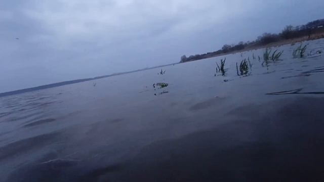 друзі підпишіться на меня я буду дуже радий природа смотреть онлайн