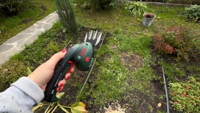 В Челябинске сильно похолодало, а нам всё нипочём! Муж удалил помидоры, я сажаю барбарисы смотреть онлайн