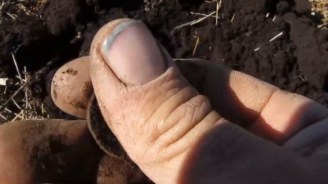 TX 850 Много находок