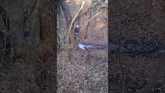 6 января 2023 г. смотреть онлайн