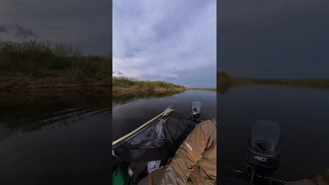 щука пока ещё не активна. но хоть погода порадовала. #рыбалка #таймыр #север #рыбалканасевере смотреть онлайн