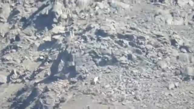 Интересное момент смотрите сколько их Снимал ни я смотреть онлайн