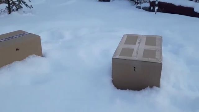 Впервые после Турции в 2022 году! Зачем поехали на дачу в такой холод? Работы в саду в ноябре смотреть онлайн