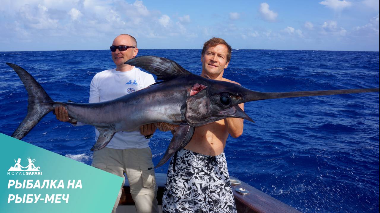 Рыба меч в Атлантическом Океане. Вытащили за 40 минут! смотреть онлайн
