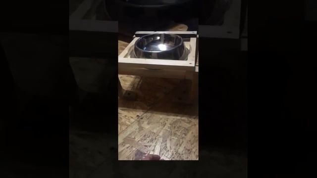 Подставка под миску🥣🐕 смотреть онлайн