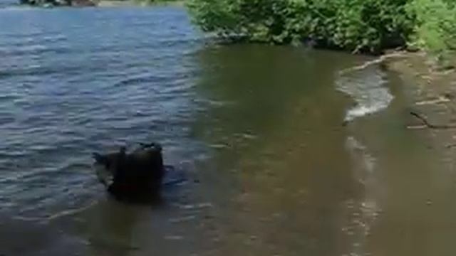Тортик и Яся на воде смотреть онлайн