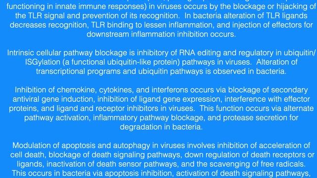 IMMUNE EVASION смотреть онлайн