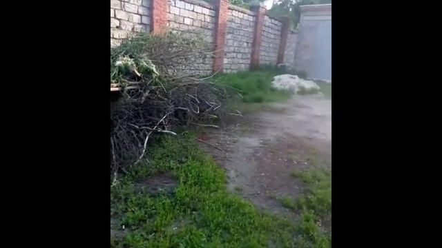 t9 - территория Будянской больницы смотреть онлайн