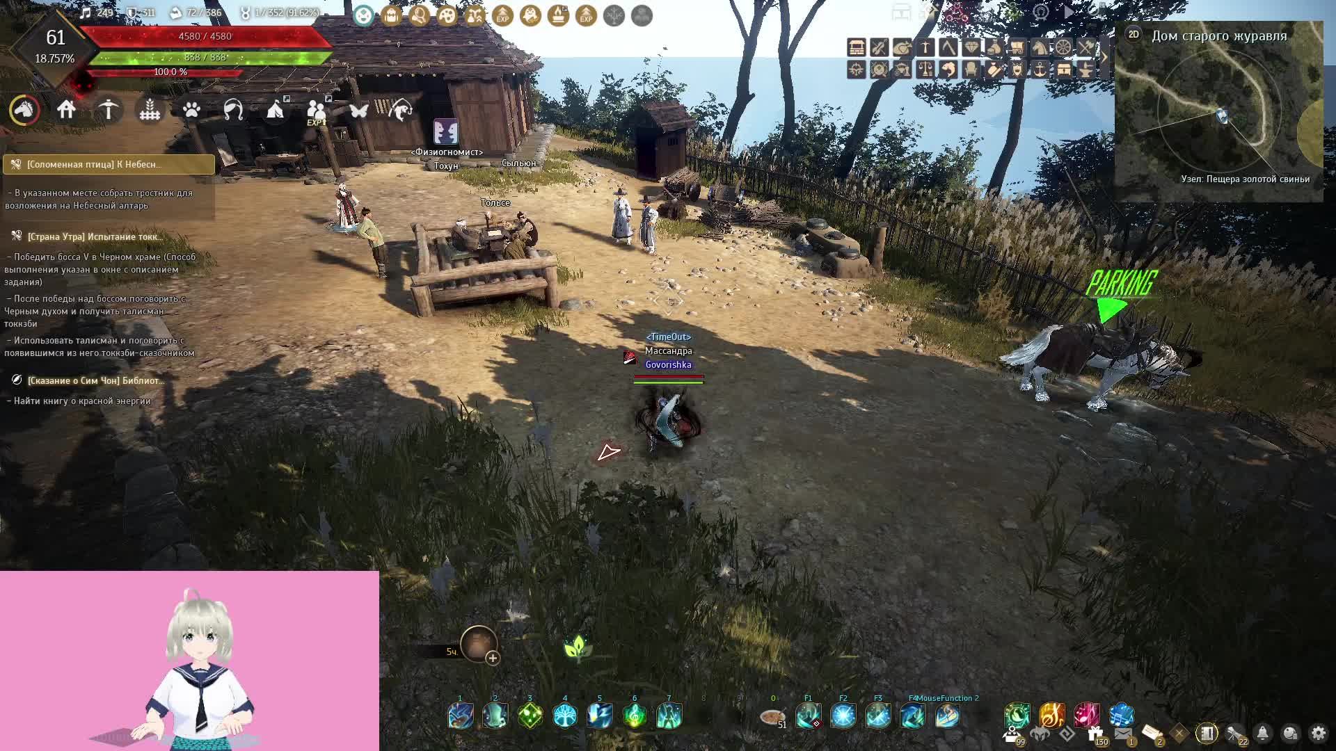 Black Desert смотреть онлайн