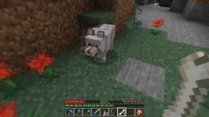 КАК ПРИРУЧИТЬ СОБАКУ В МАЙНКРАФТ