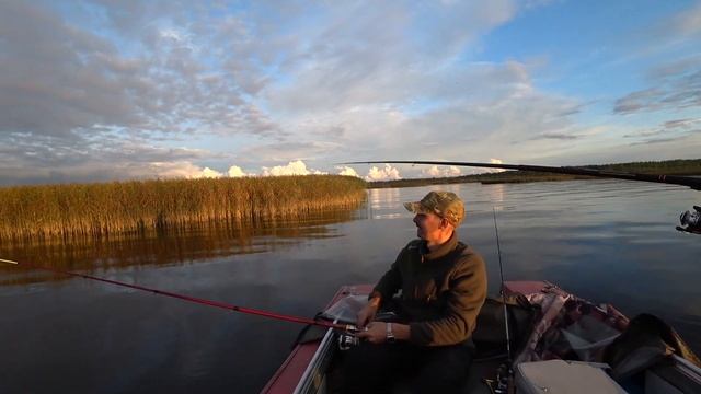 Лапти-окуни клюют по два! Мы в шоке! Рыбалка на отводной поводок