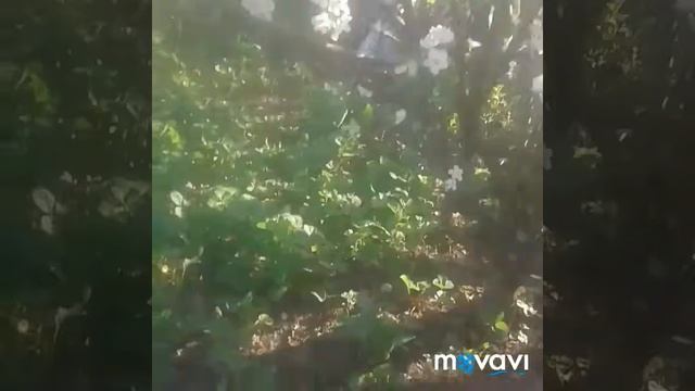 Отчёт для бабушки смотреть онлайн